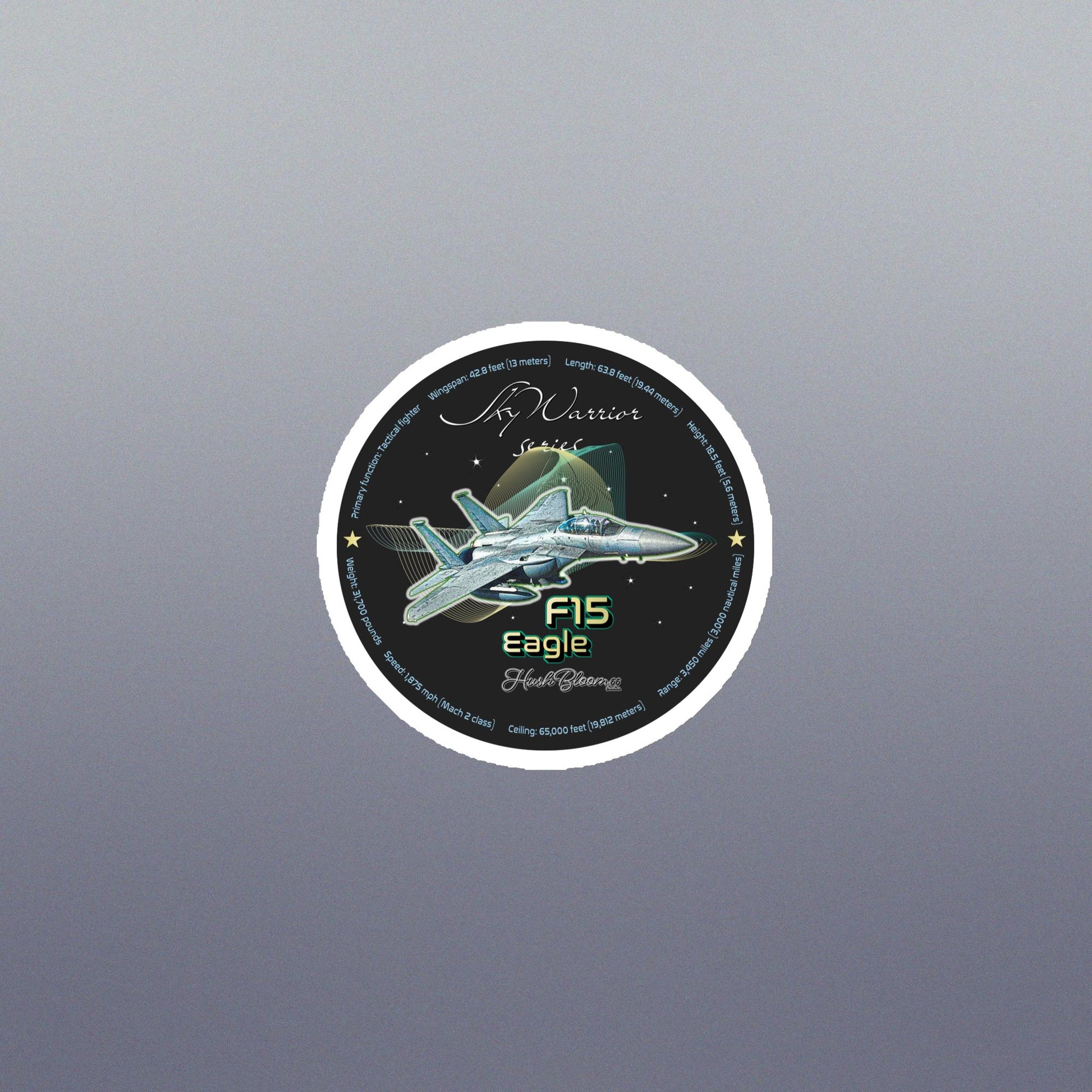 Multicolor - F15 Eagle Flexible vinyl magnet