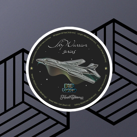 Multicolor - B1B Lancer Bubble-free vinyl stickers