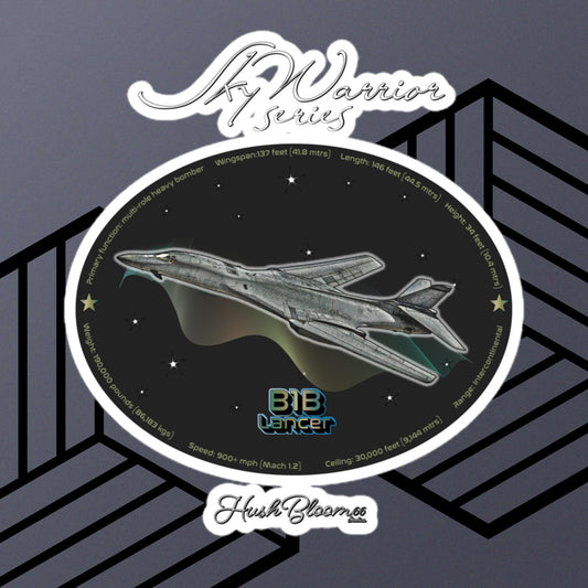 Multicolor - B1B Lancer Bubble-free vinyl stickers (Style 2)