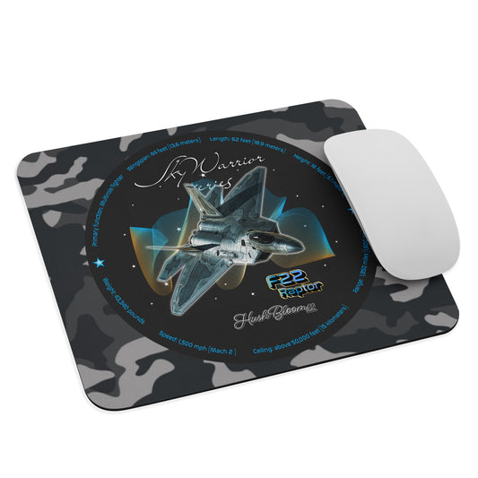 F22 Raptor Mouse pad