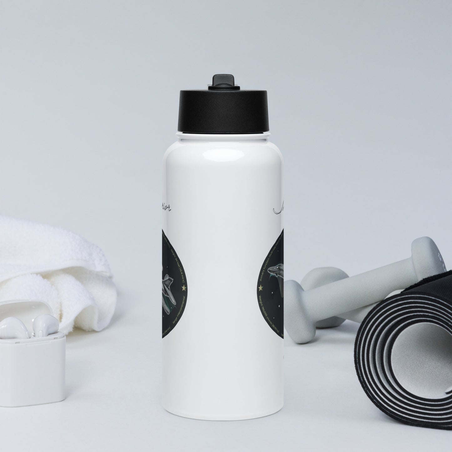 B1B Lancer Stainless steel water bottle with a straw lid