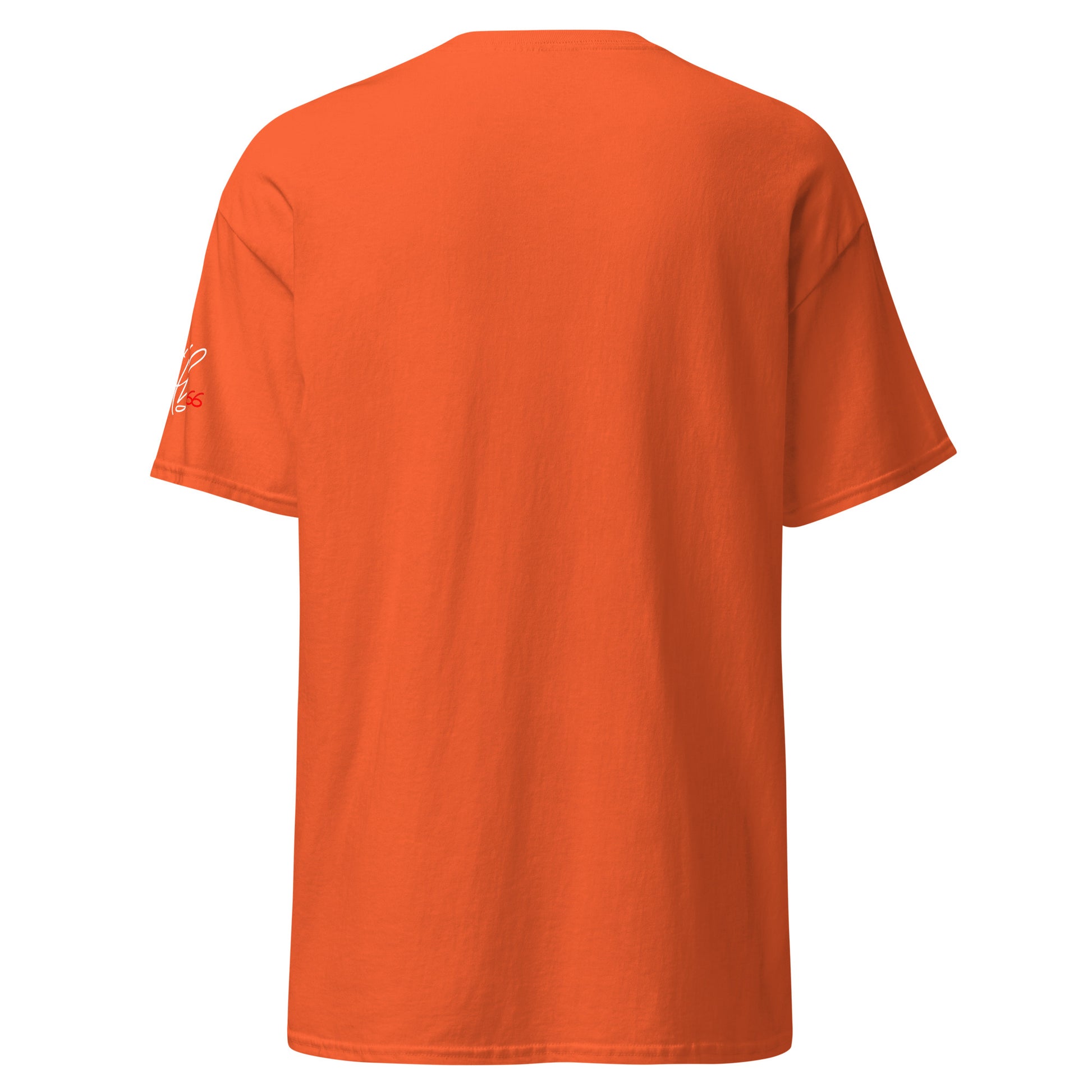 Orange - F15 Eagle Unisex classic tee T-Shirt