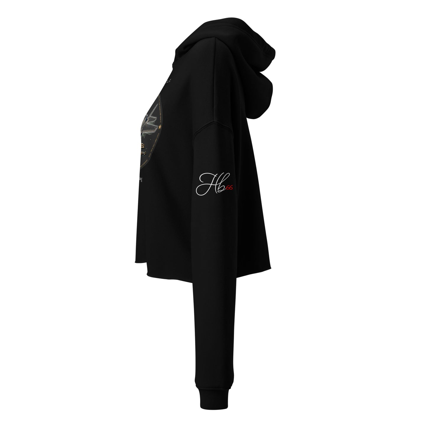 Black - F35A Lightning Crop Hoodie