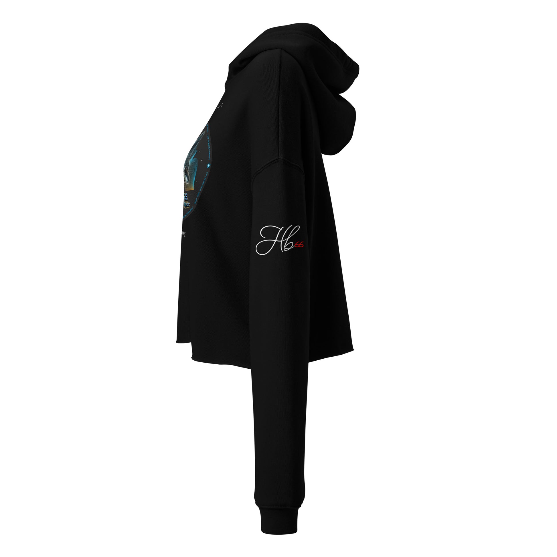 Black - F22 Raptor Crop Hoodie