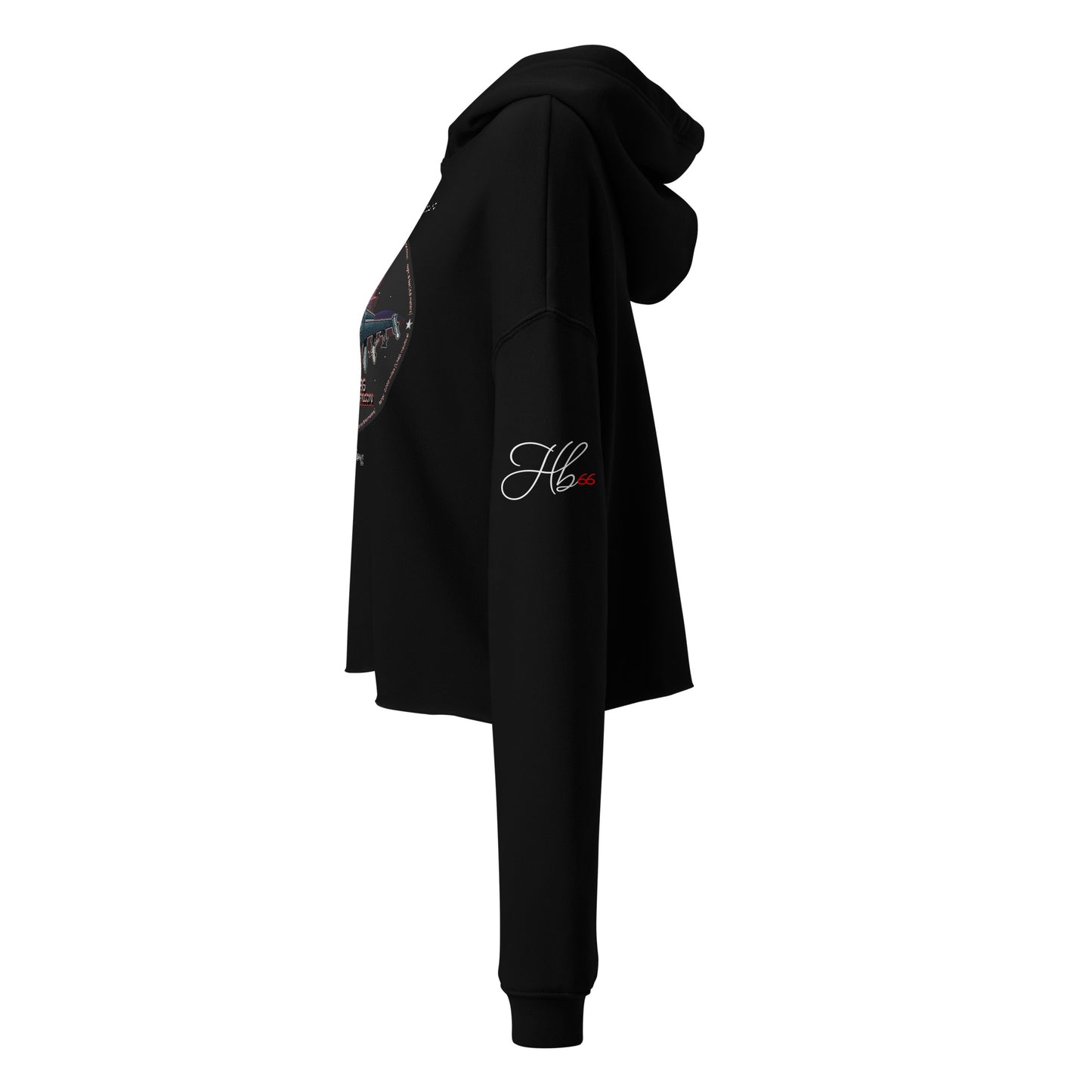Black - F16 Falcon Crop Hoodie