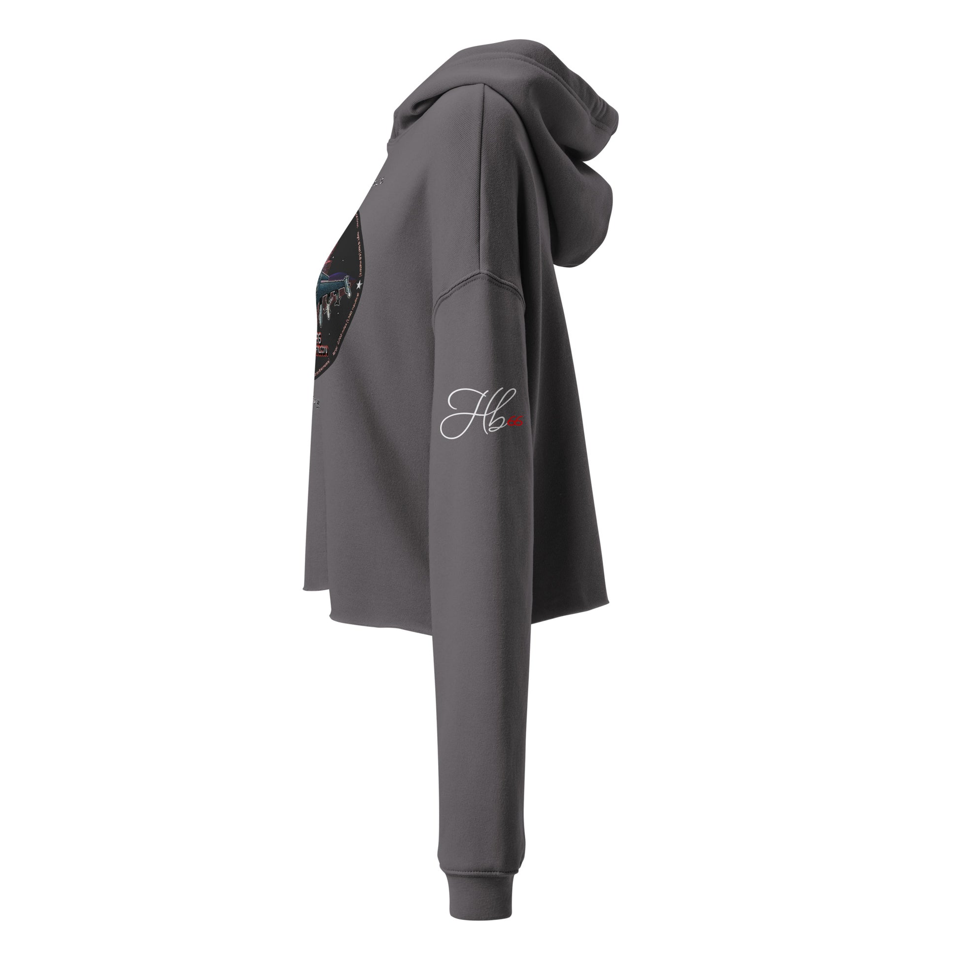 Storm - F16 Falcon Crop Hoodie